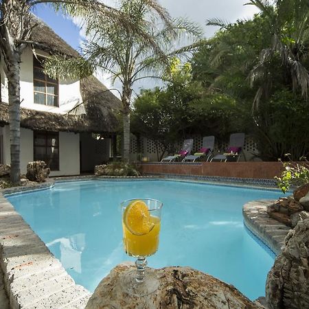 Out Of Africa Guesthouse Otjiwarongo Exterior foto